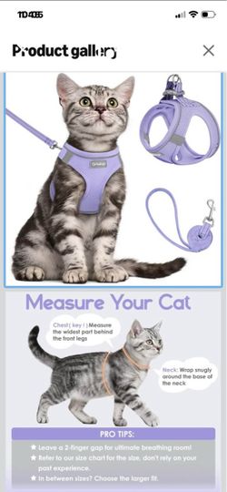 Brand new cat harness and leash