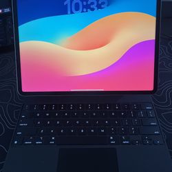 iPad Pro 12.9in - 6th Gen - 512gb WiFi/Cellular