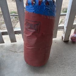 Everlast Punching bag