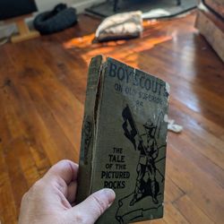 Boy Scout Mystery Book 