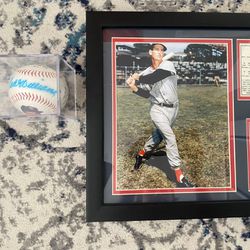 Ted Williams Signed Baseball With Stay Card 