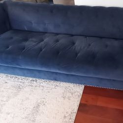 Velvet Blue Couch