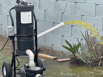 Green Pool Portable Pump To Blue Swimming Pool Pump For Pools