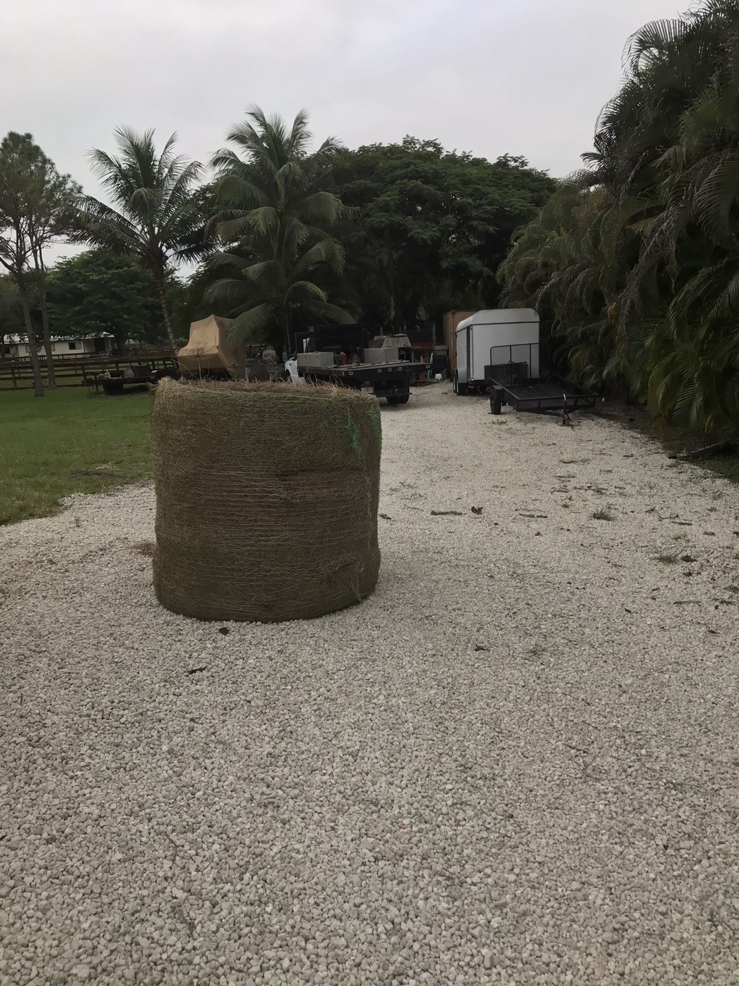 Round bale hay