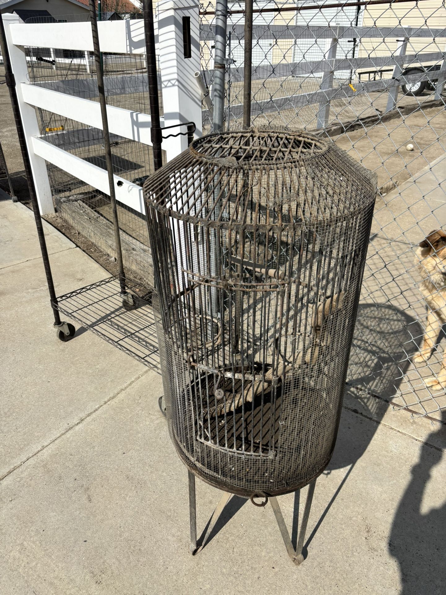Bird Cage