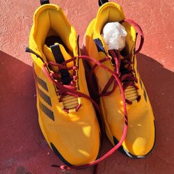 Timberland Boots/ Nike Tennis