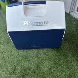 Playmate Igloo Cooler