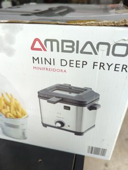 Mini Deep Fryer 
