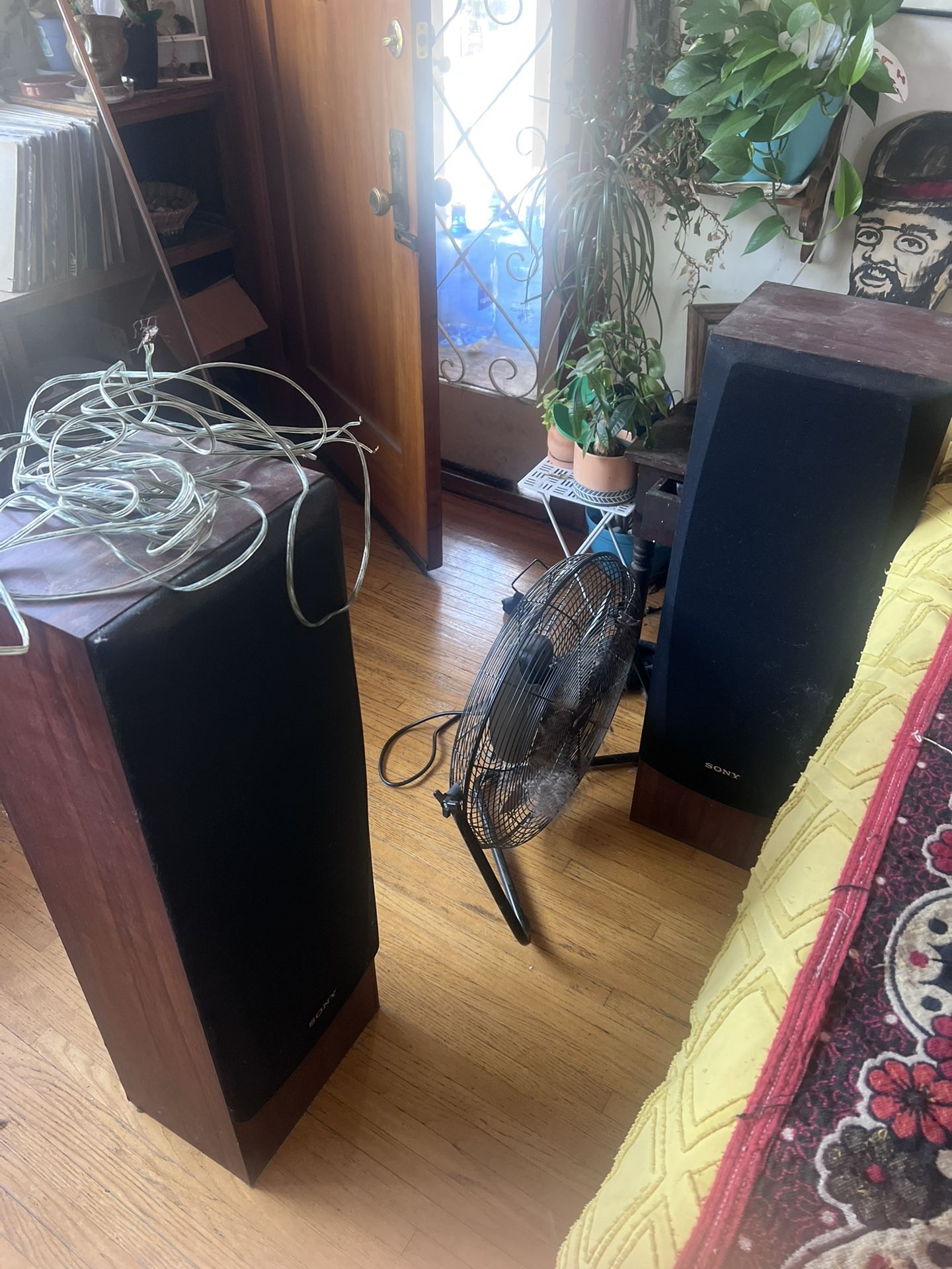 Sony Vintage Speakers