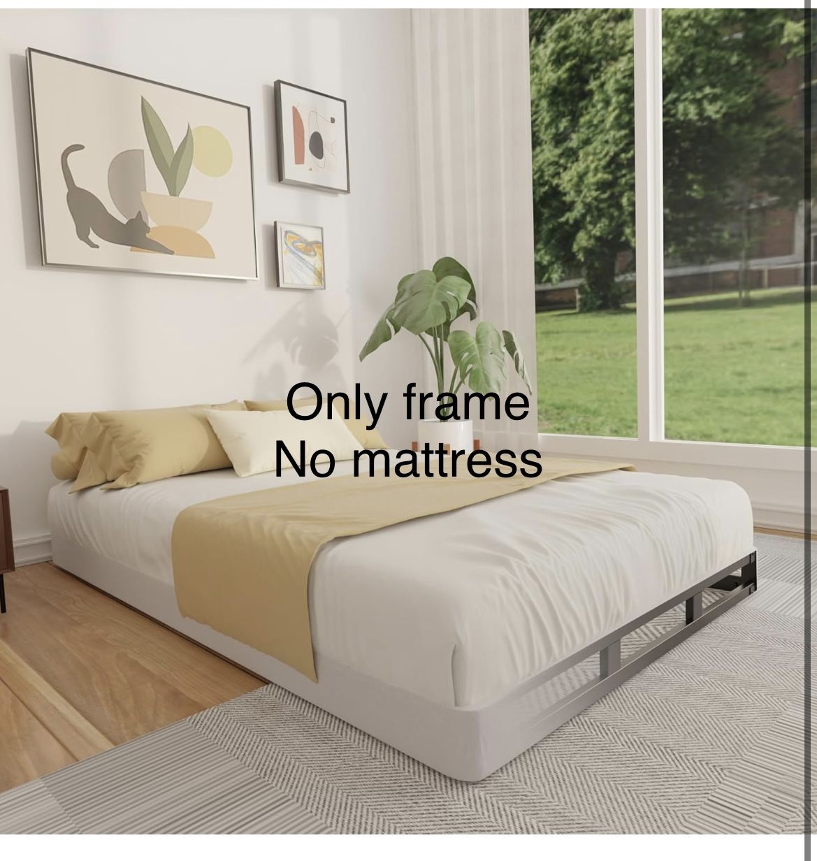 FMDMR BOX SPRING