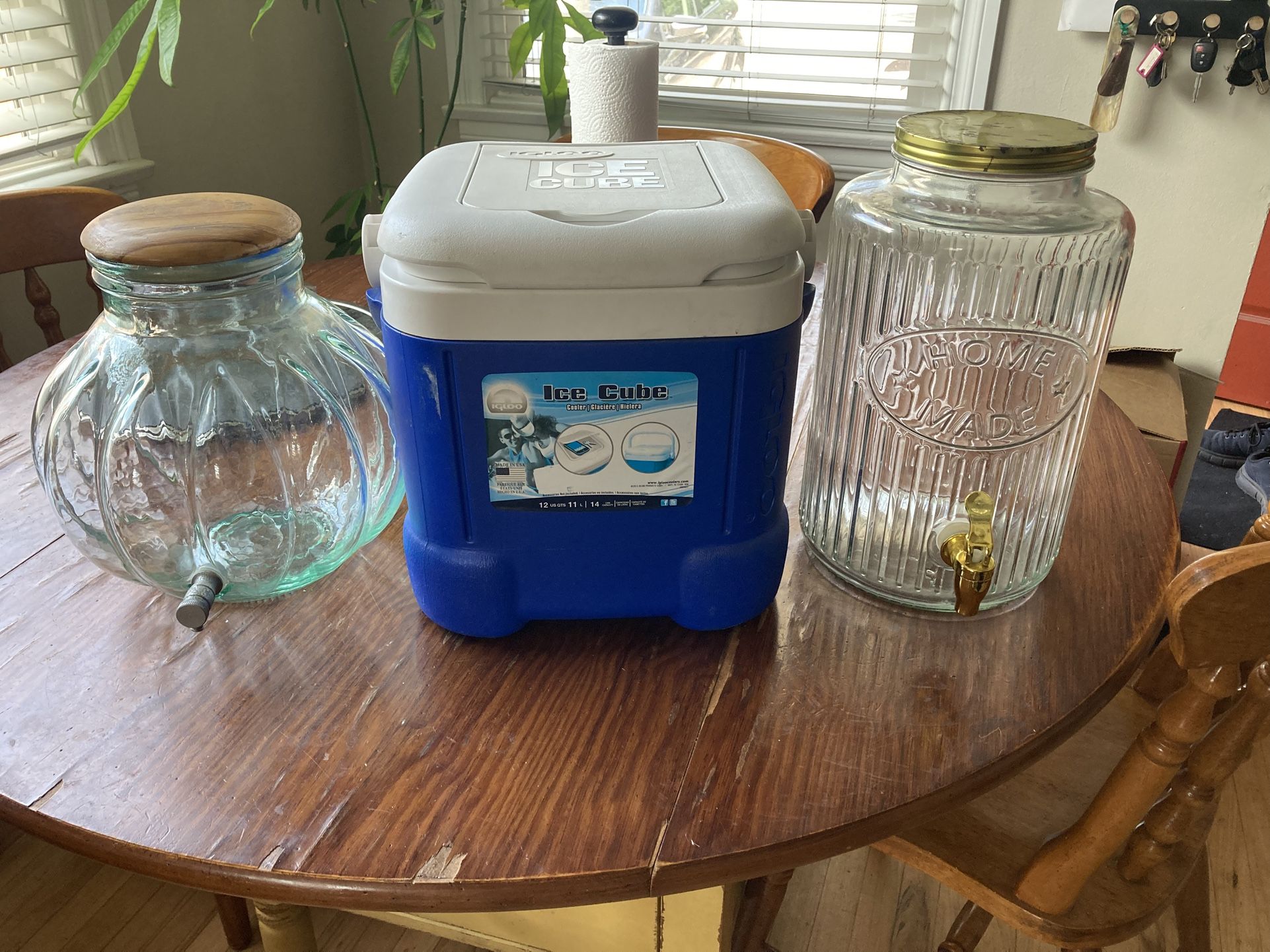 Cooler Igloo and 2 Water Dispensers