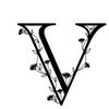 V's Things 