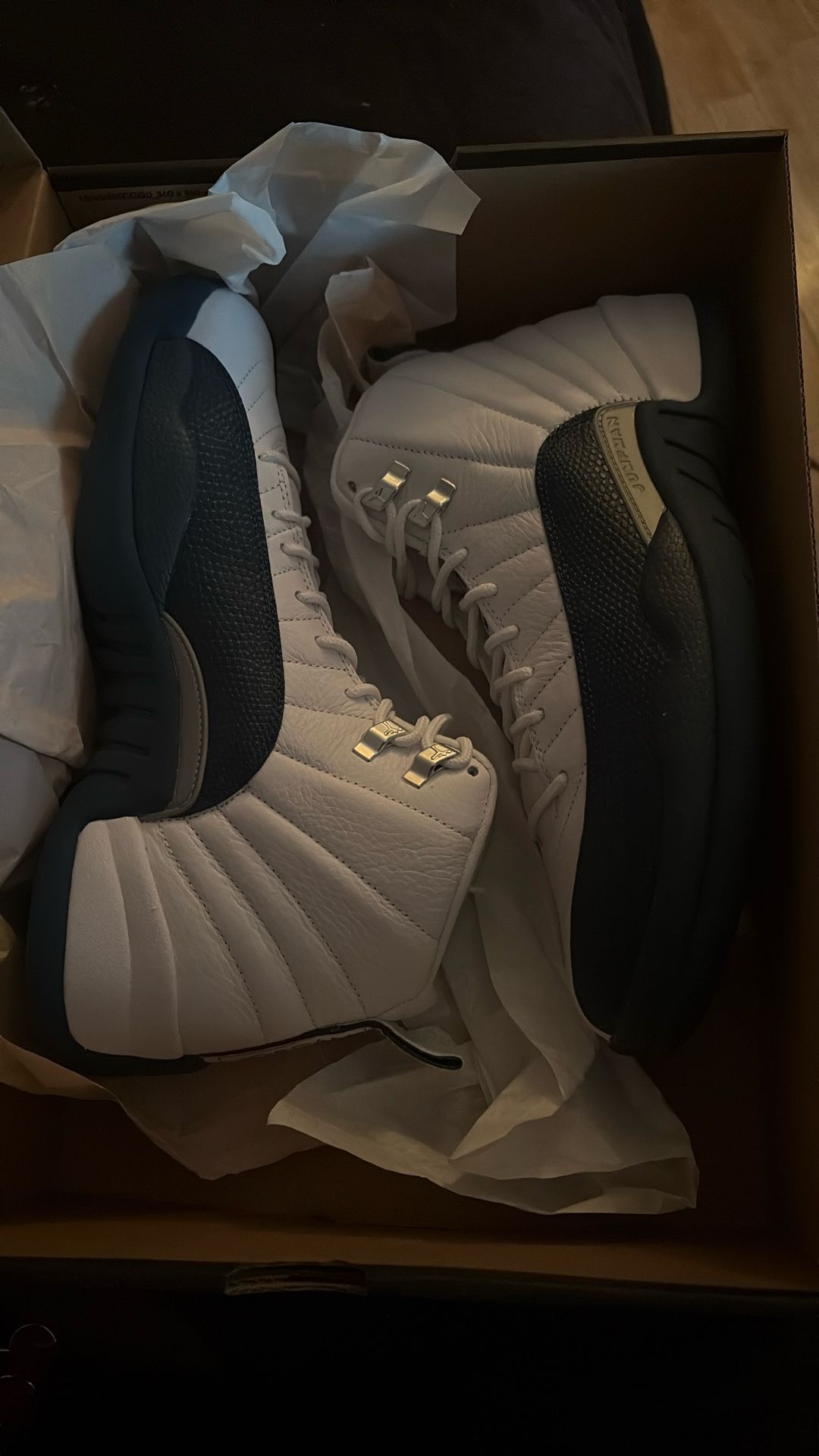 Air Jordan Retro 12