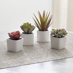 Brand New Still In Box Decorative Plants 