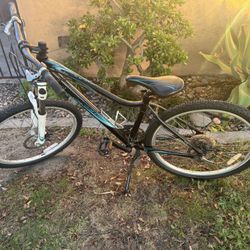 Giant Revel W Mountain Bike (women’s Small)