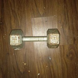 (1) 15 Lb Dumbbell