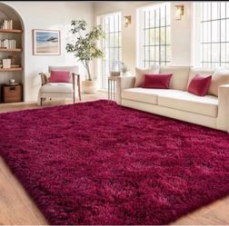 Burgundy Luxurious Fluffy Shag Rug  Ultra Soft,Plush,Fuzzy, Durable  6x9ft