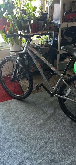 Free agent Mountain Bike