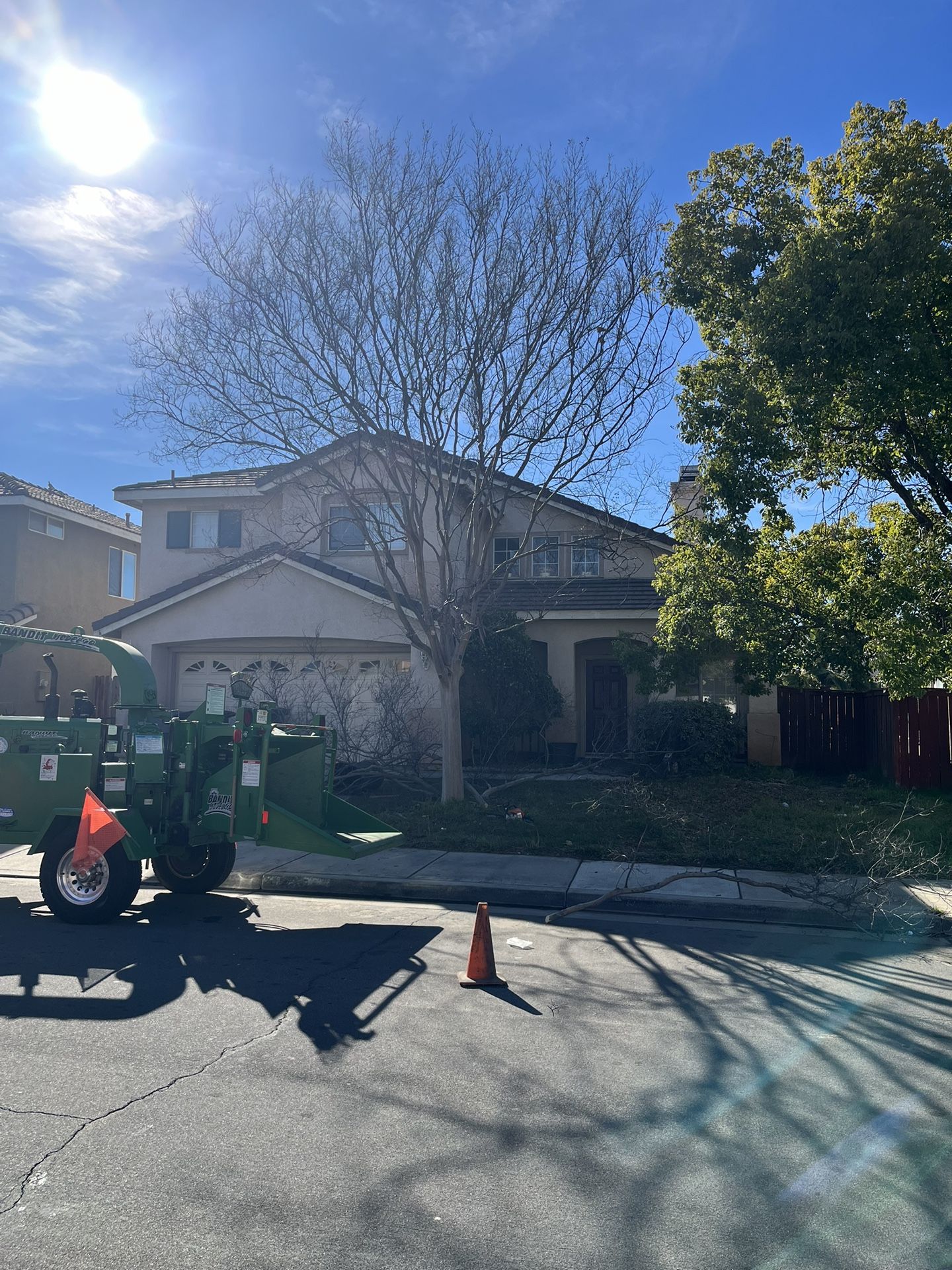 🐌Stump Removal🐌