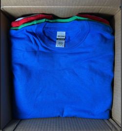 Blank T-Shirts