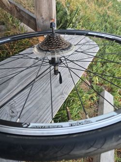 Bike rim Bontrager Nebula
