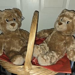 New BUILD A BEARS ( LIL BROWNIE CUB) $10 EA