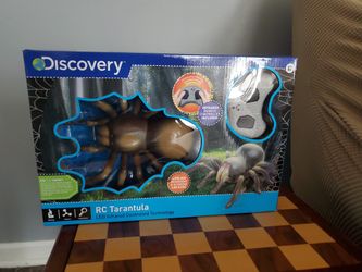 New Discovery RC tarebtula