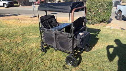 Double Seat Stroller Wagon with Canopy