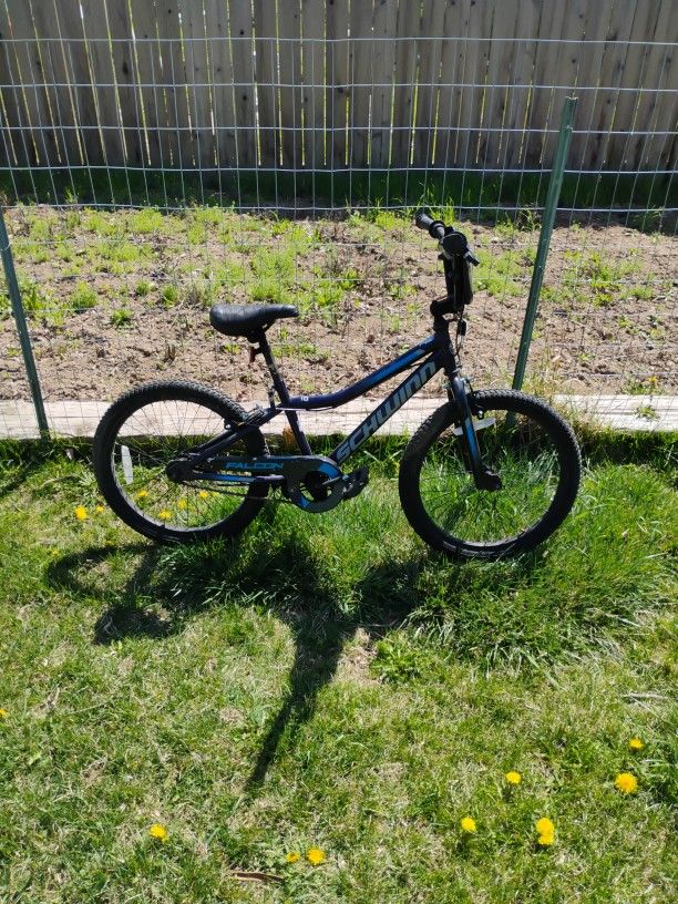 Schwinn 20 Inch 