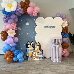Backdrop And Balloon Decoration