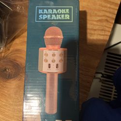 Karaoke, Speaker Microphone