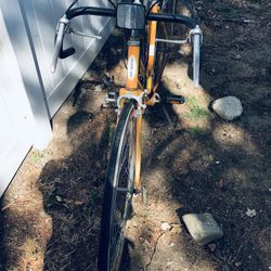 Schwinn Classic Bike Yellow