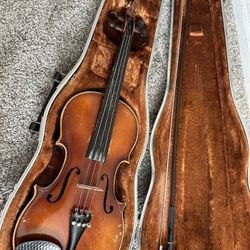 14 1/2 Viola 