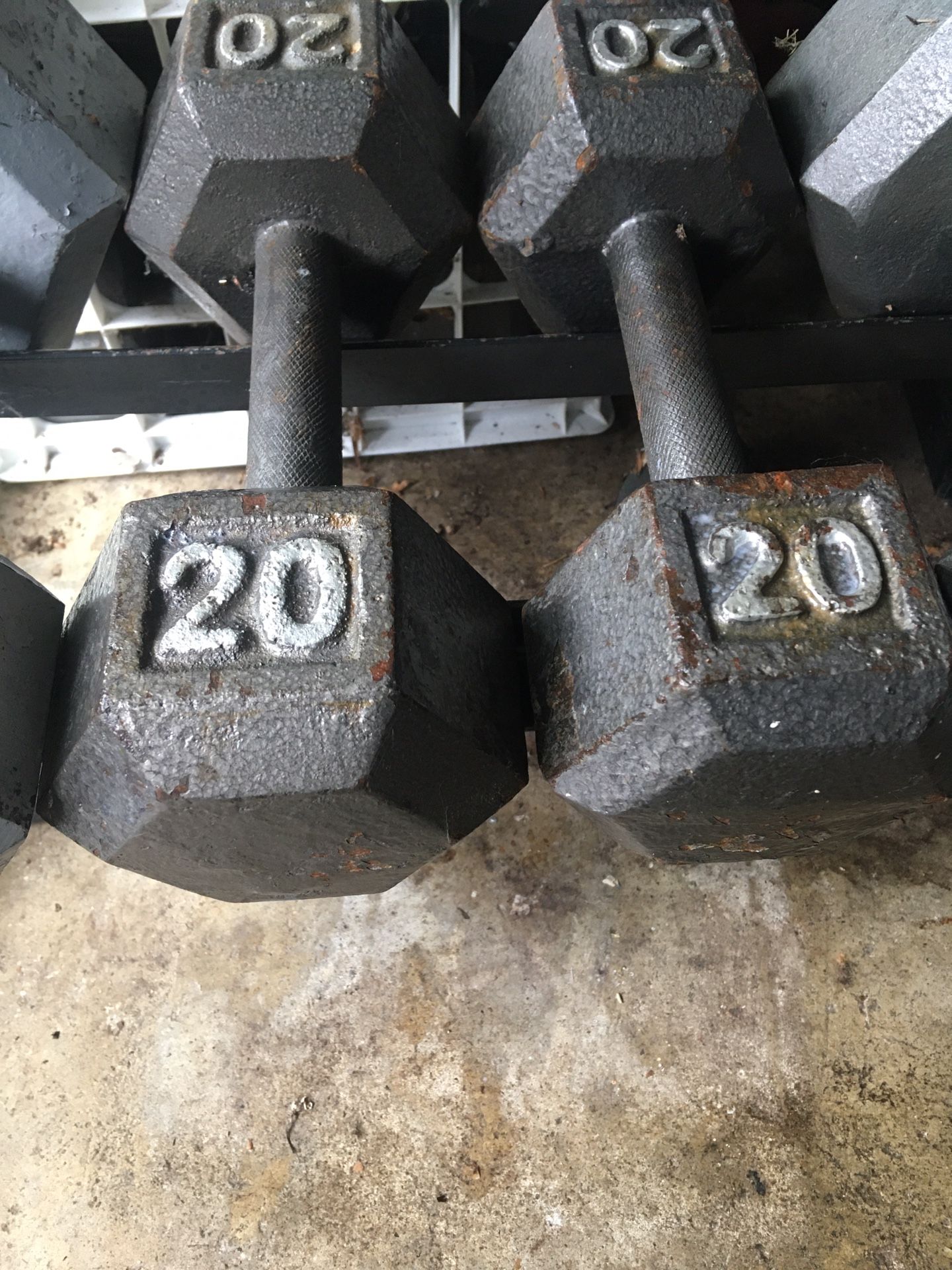 20 Lb Dumbbells 