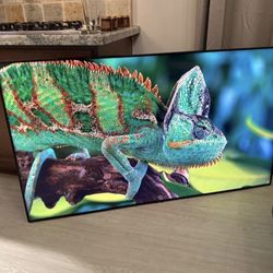 Samsung QLED 65 inch High End Smart TV