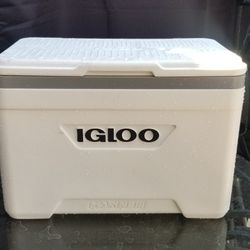 15 INCH IGLOO