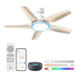 Smart Ceiling Fan With Light