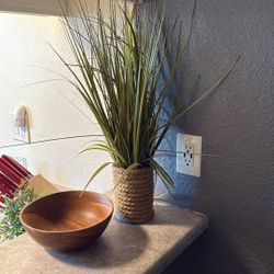 Fake Plant 