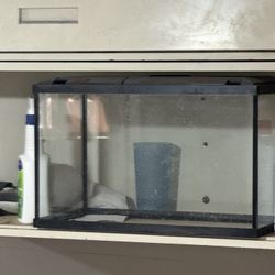 10 Gallon Fish Tank 