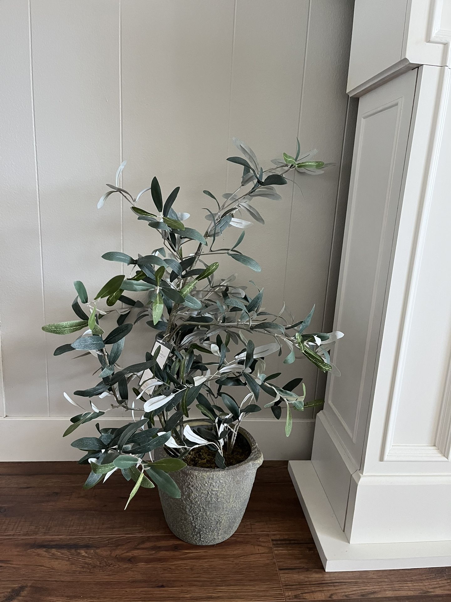 Faux Threshold Olive Plant