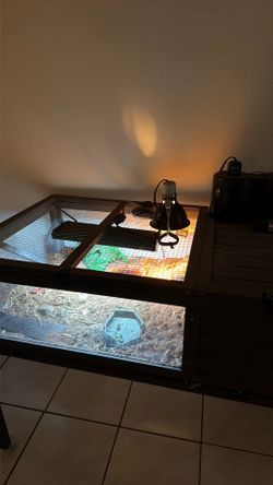 Tortoise enclosure/habitat *TORTOISES NOT INCLUDED*