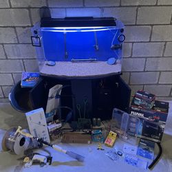 Acrylic Fish Tank Combo Set, Stand & Many More!