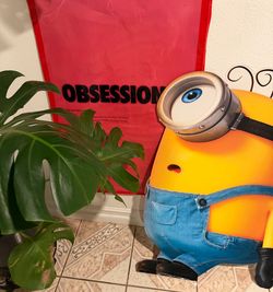 Minion Display