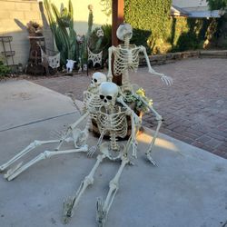 5ft Halloween Skeletons