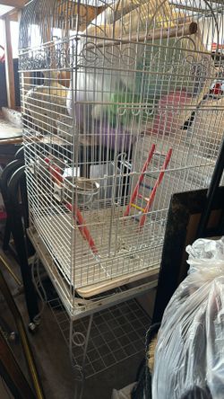 Birdcages & A Birdhouse Best Offers On Them
