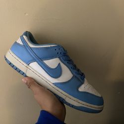 Nike Dunks 