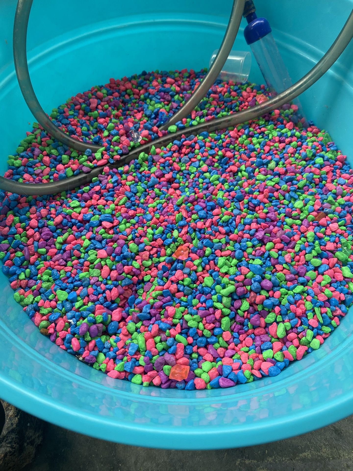 Fish stuff