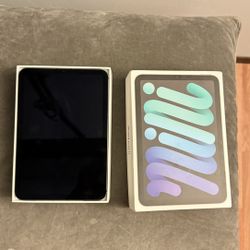 iPad Mini (6th Generation) 256 GB