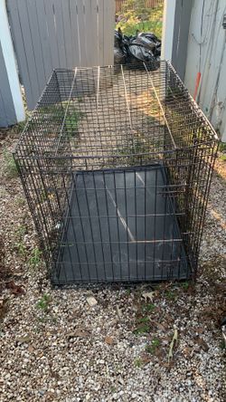 Dog Cage