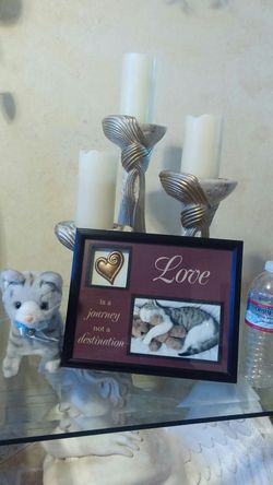 Cat picture frame and stuffed cat that walks